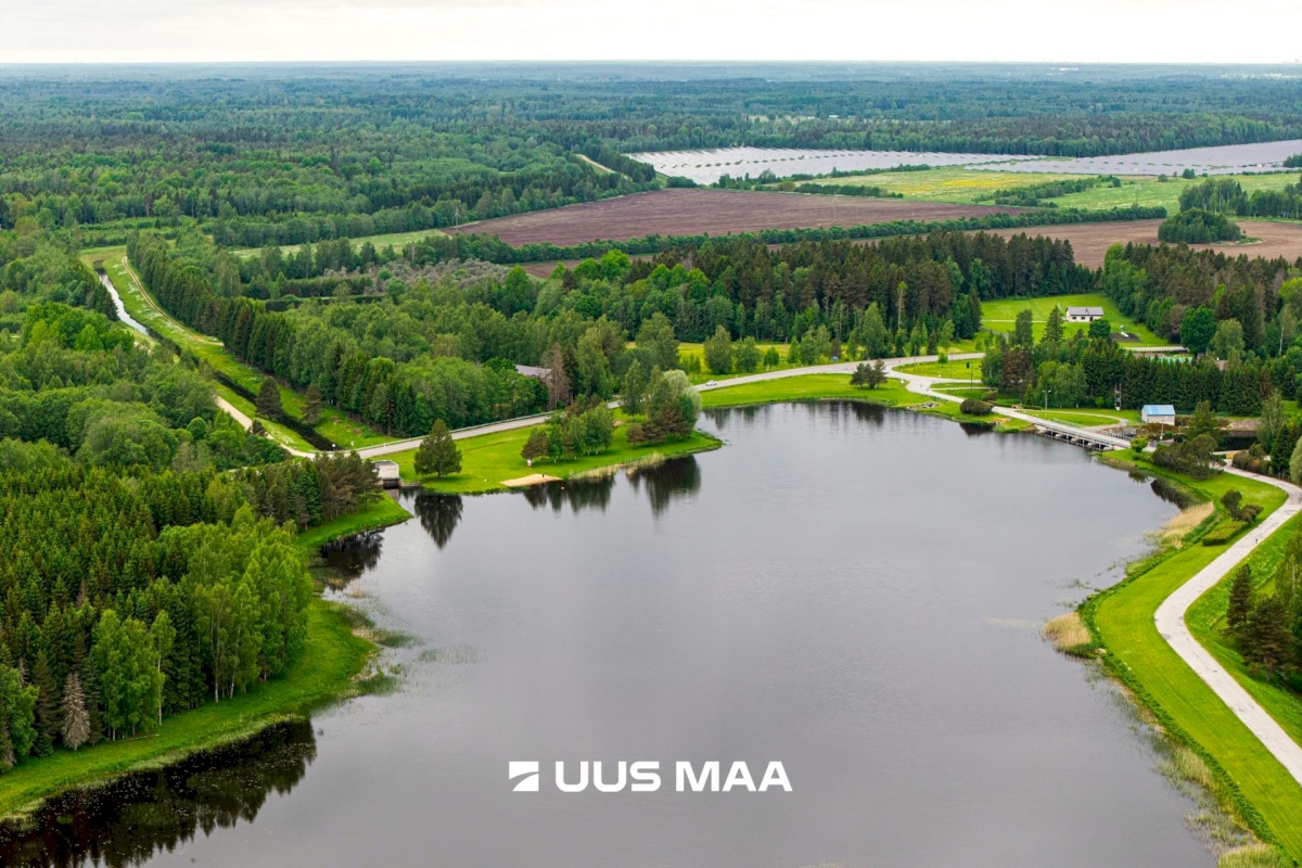 Anija vald, Vikipalu küla, Metsaveere vkt 40