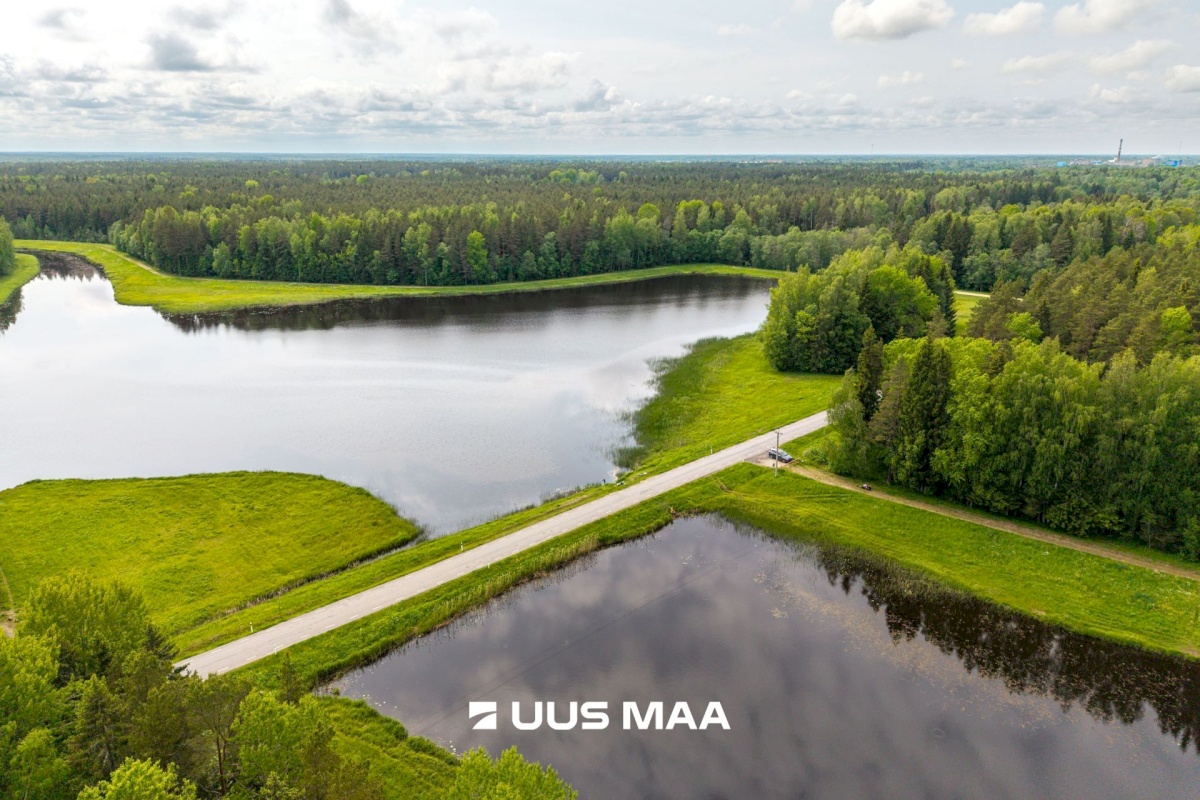 Anija vald, Vikipalu küla, Metsaveere vkt 40