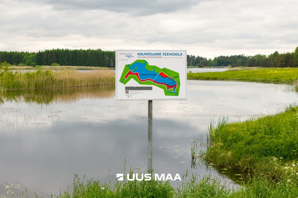 Anija vald, Vikipalu küla, Metsaveere vkt 40