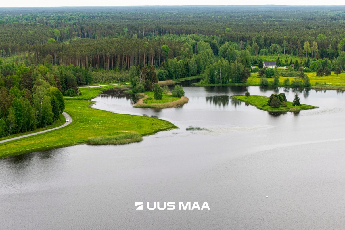 Anija vald, Vikipalu küla, Metsaveere vkt 40