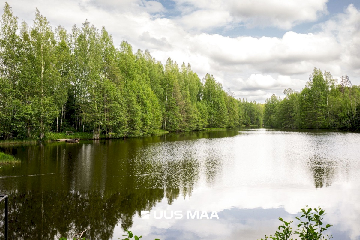 Anija vald, Vikipalu küla, Metsaveere vkt 40