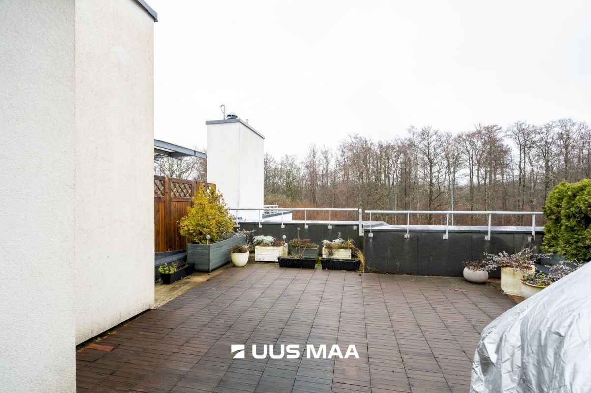 Viimsi vald, Haabneeme alevik, Hundi tee 17