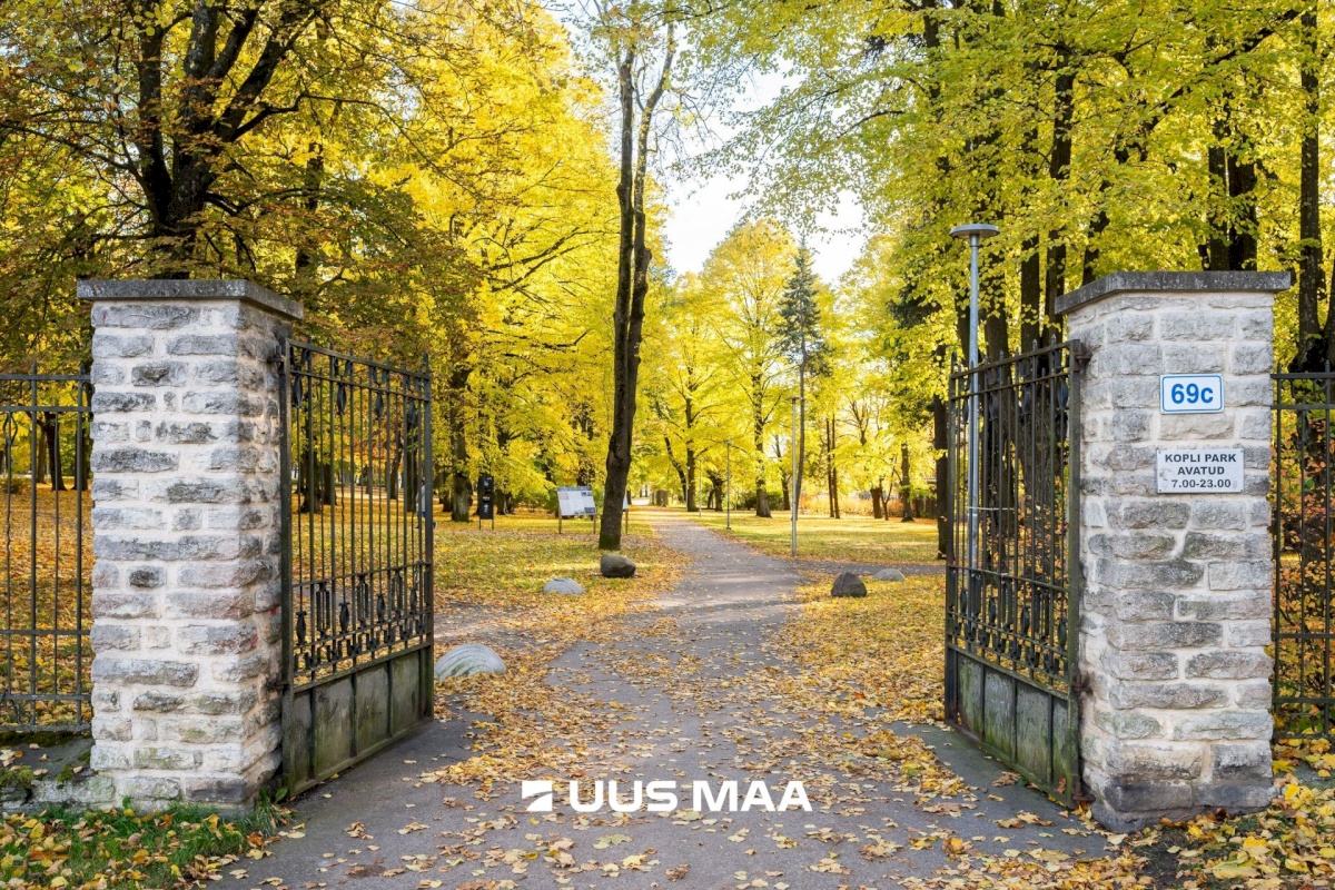 Tallinn, Põhja-Tallinna linnaosa, Kopli tn 69e