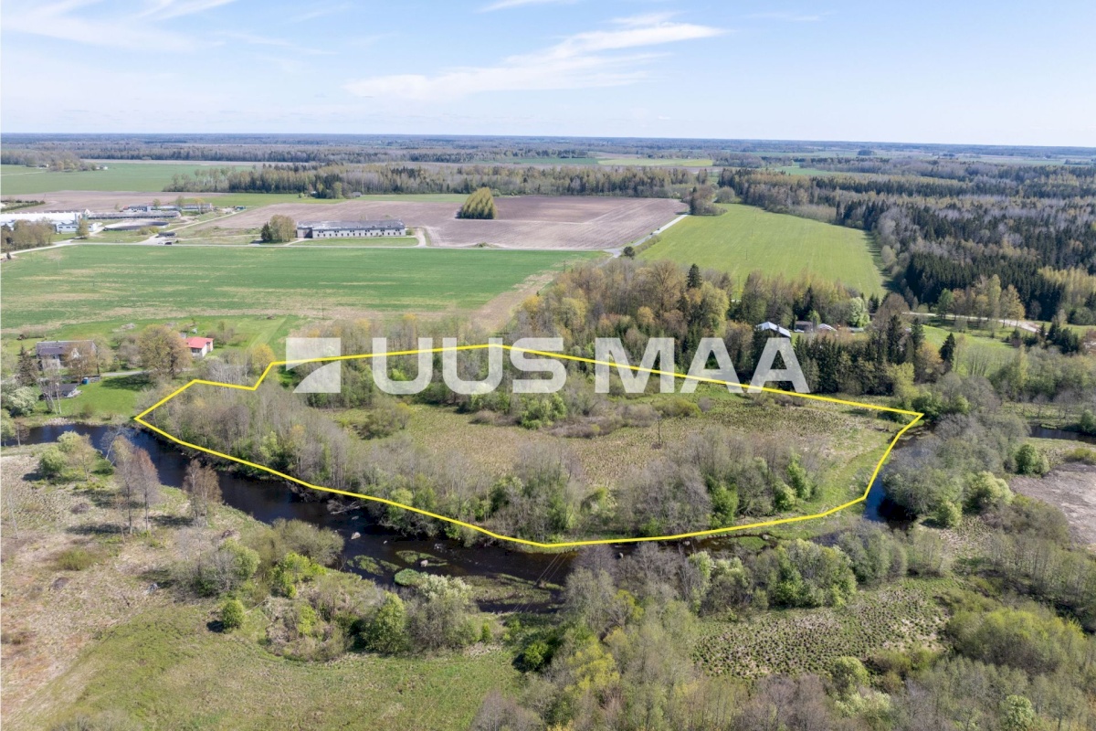 Türi vald, Türi-Alliku küla, Veski tee 6