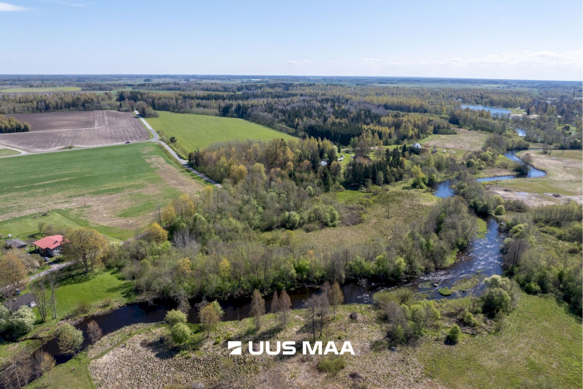 Türi vald, Türi-Alliku küla, Veski tee 6