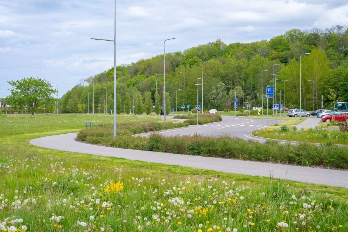 Viimsi vald, Haabneeme alevik, Tammepõllu tee 1