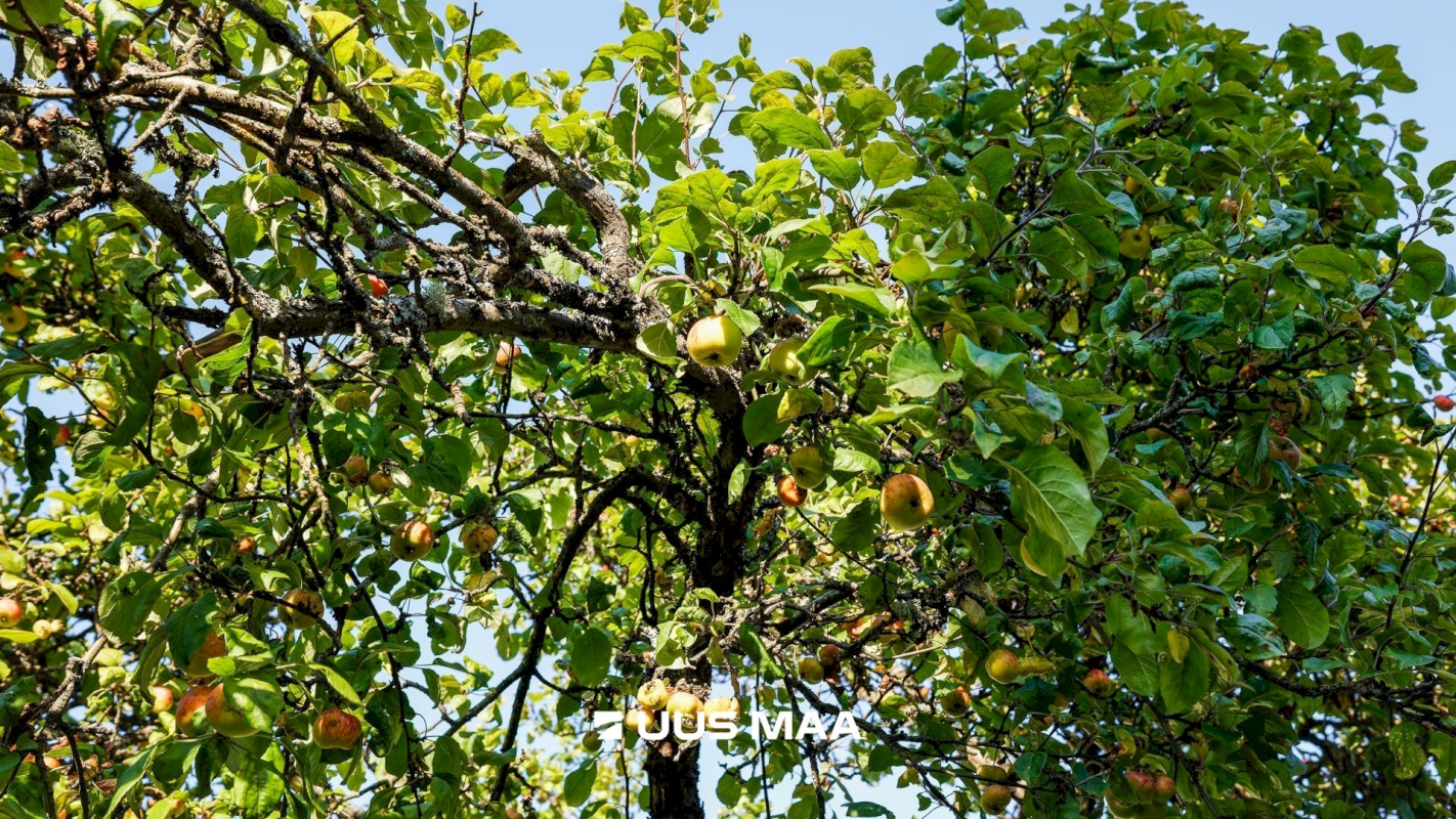 Tallinn, Pirita linnaosa, Põõsa tee 3/5-6