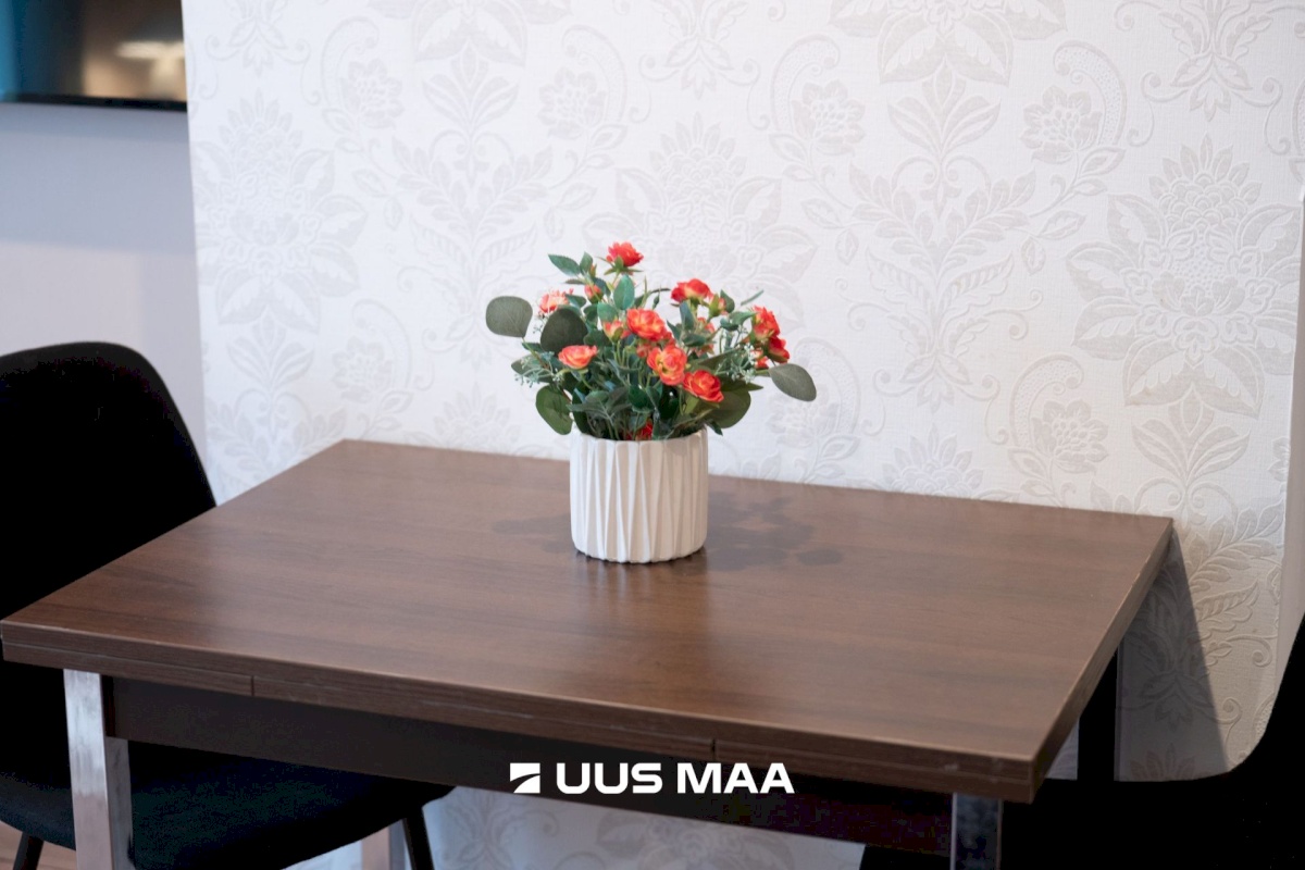 Tallinn, Põhja-Tallinna linnaosa, Graniidi 11a