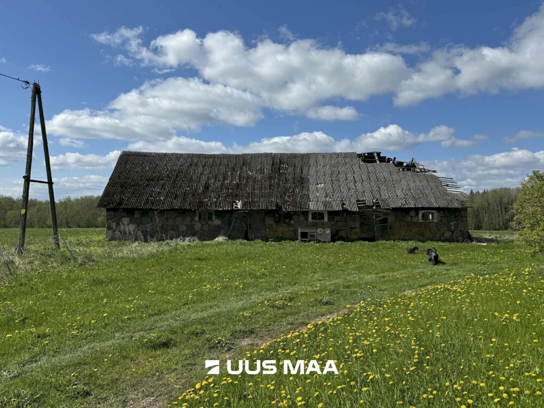 Tartu vald, Otslava küla, Kaselinnu