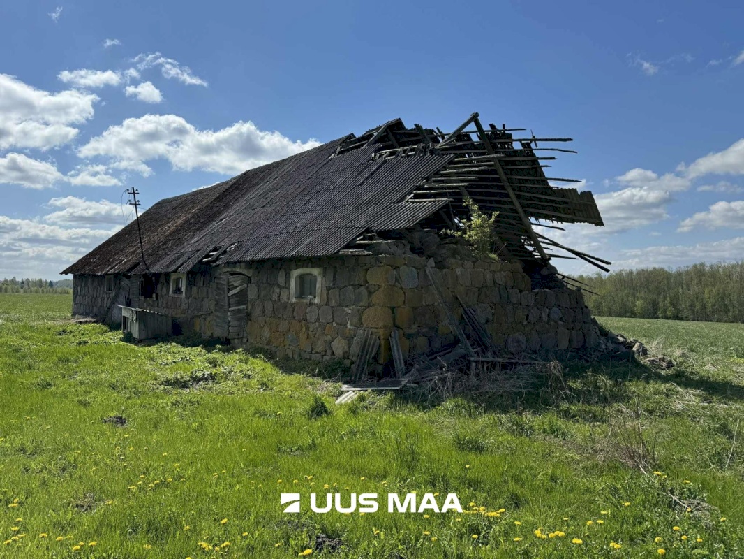 Tartu vald, Otslava küla, Kaselinnu