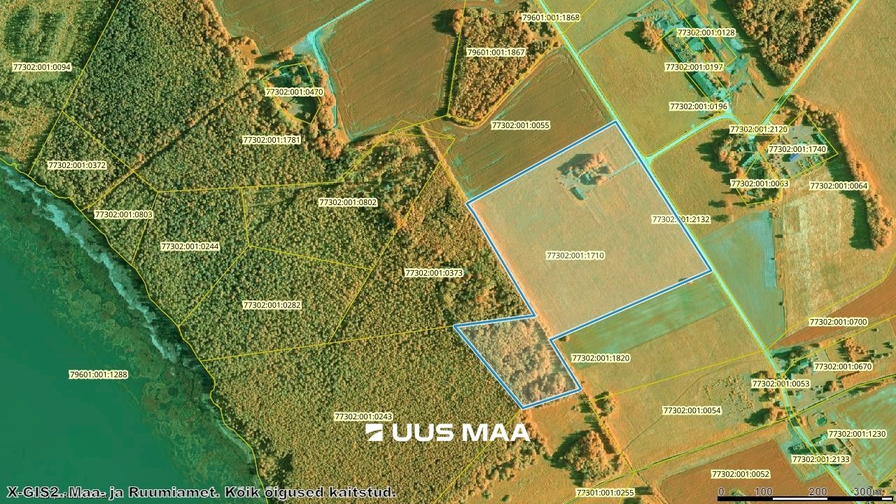 Tartu vald, Otslava küla, Kaselinnu