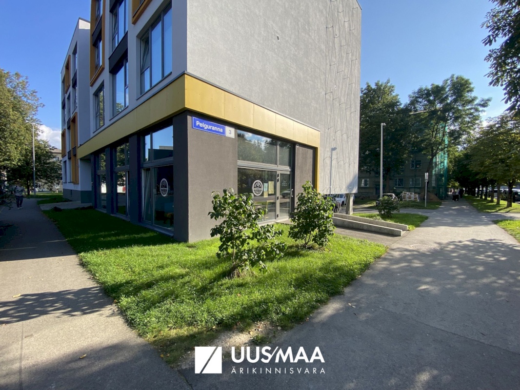 Tallinn, Põhja-Tallinna linnaosa, Pelguranna, Pelguranna 3