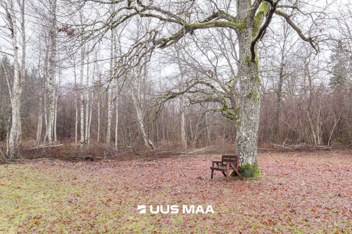 Saue vald, Turba alevik, Metsa 4