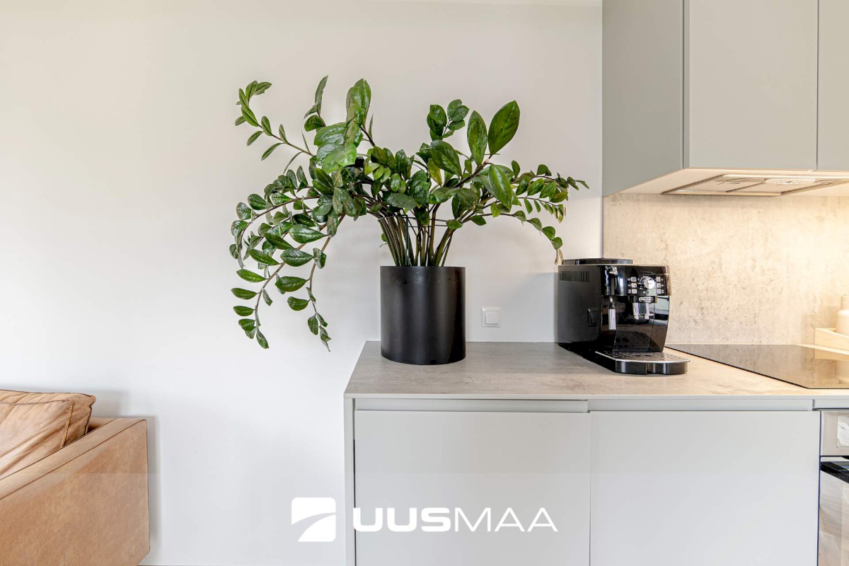 Tallinn, Põhja-Tallinna linnaosa, Kopli tn 4a