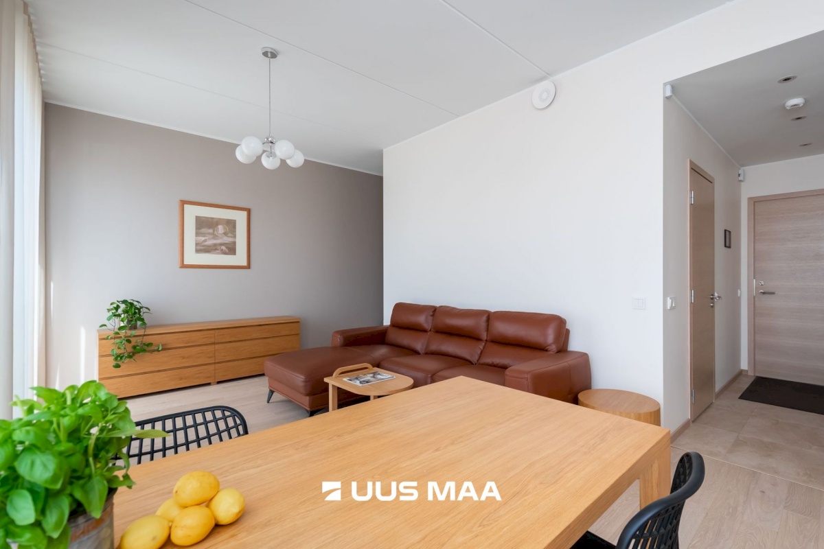 Tallinn, Kesklinna linnaosa, Pille 7/2