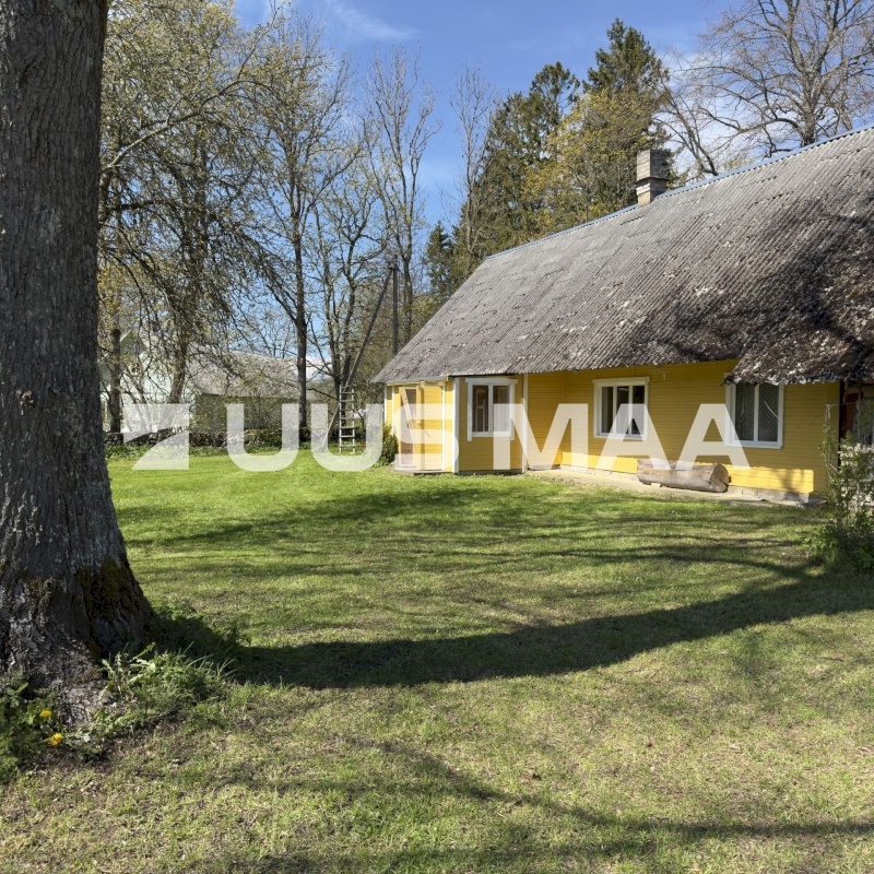 Muhu vald, Viira küla, Lauritse