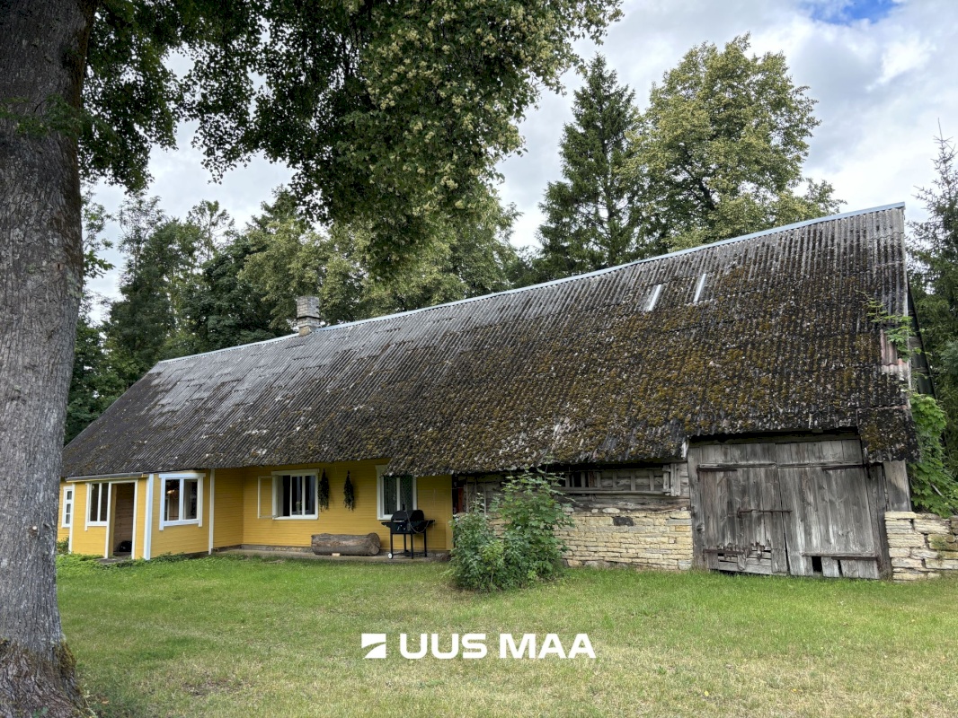 Muhu vald, Viira küla, Lauritse