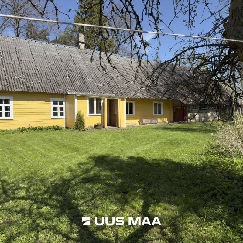 Muhu vald, Viira küla, Lauritse