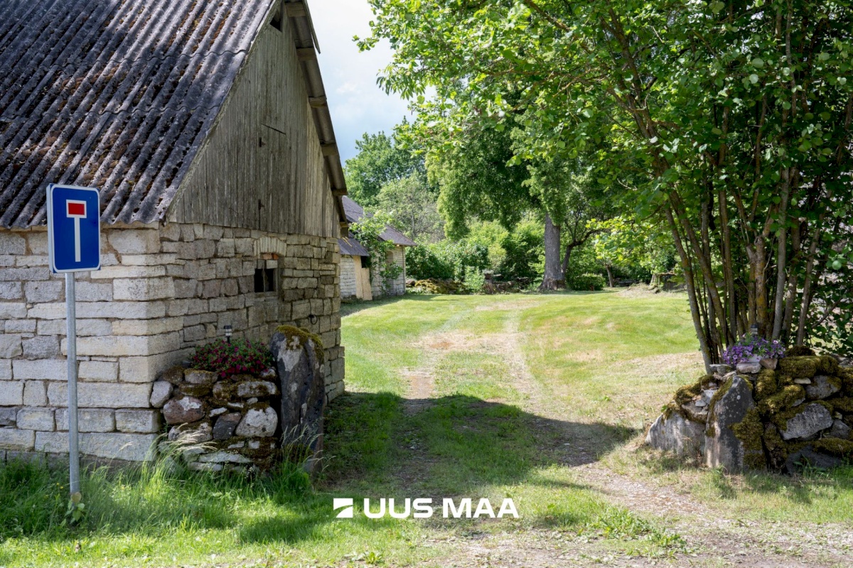 Muhu vald, Viira küla, Lauritse