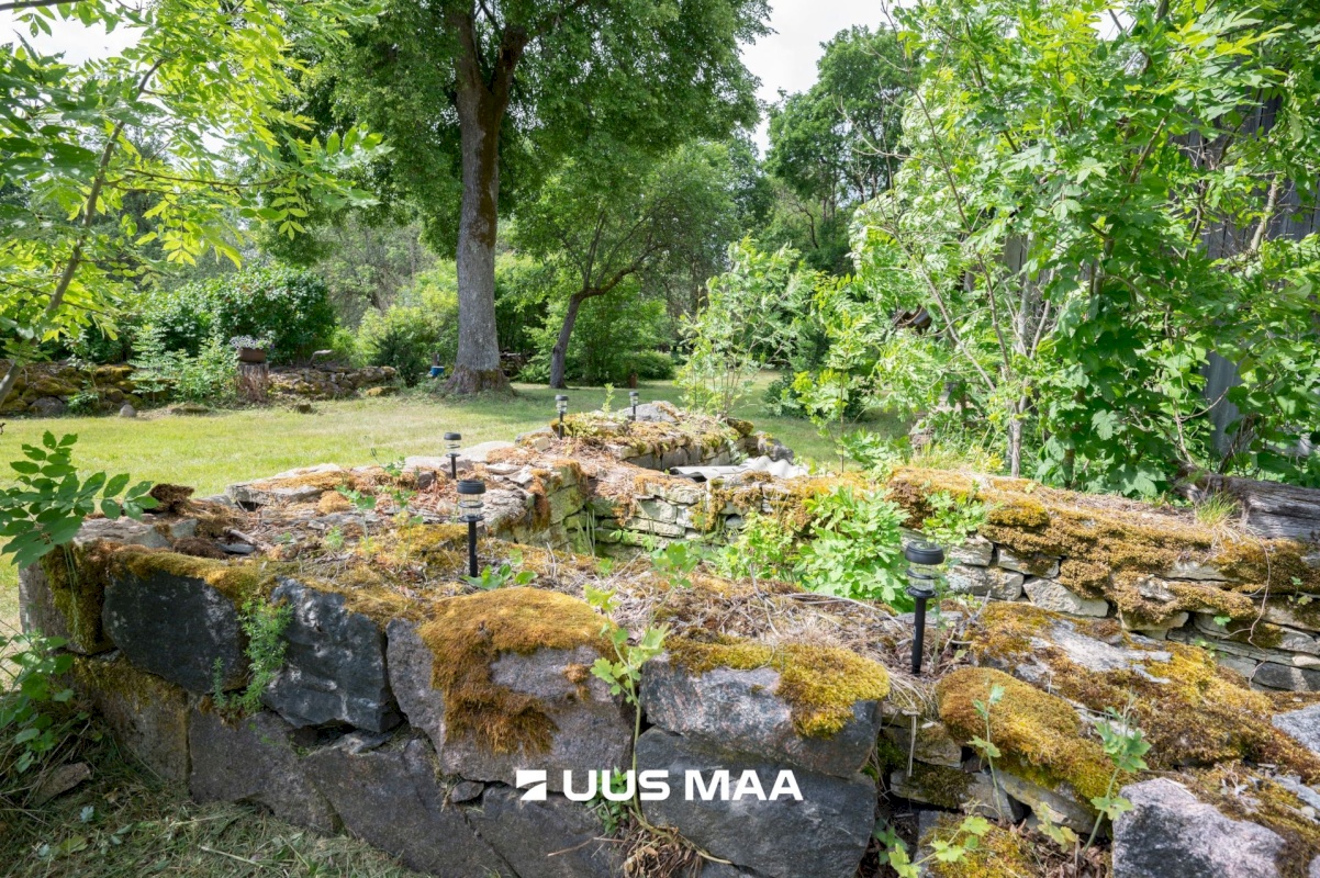 Muhu vald, Viira küla, Lauritse