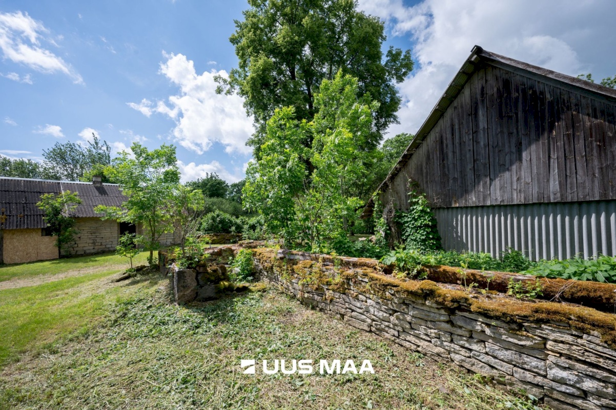 Muhu vald, Viira küla, Lauritse