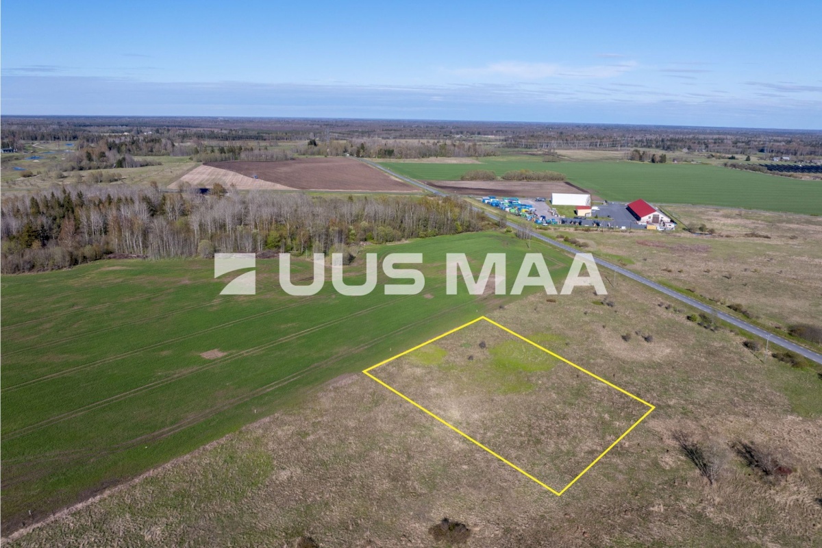 Rae vald, Suuresta küla, Vanatammi 14