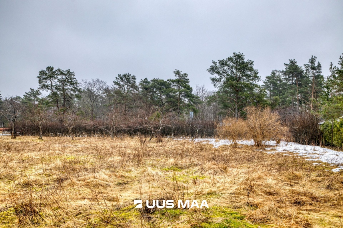 Harku vald, Türisalu küla, Edelatuule tee 1