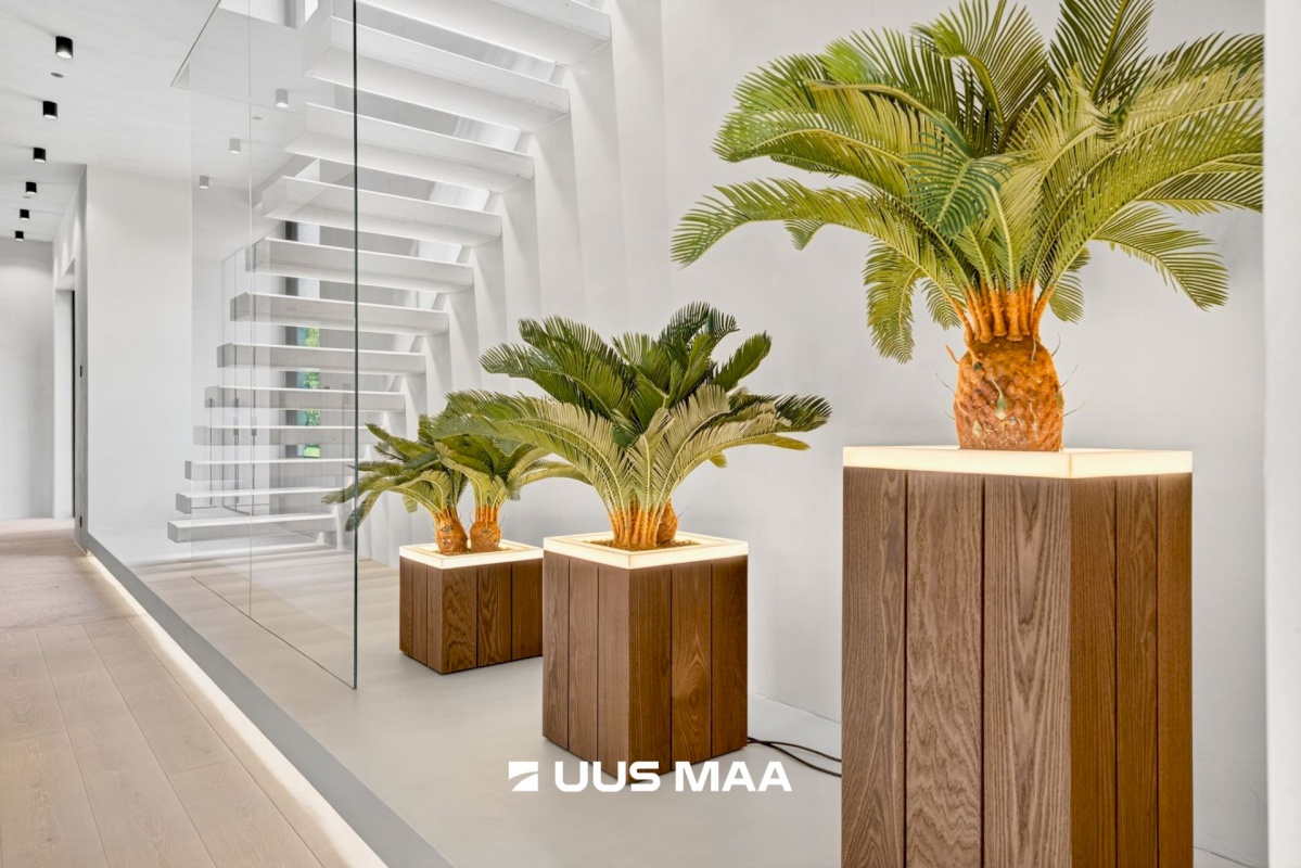 Jõelähtme vald, Manniva küla, Odaotsa tee 2