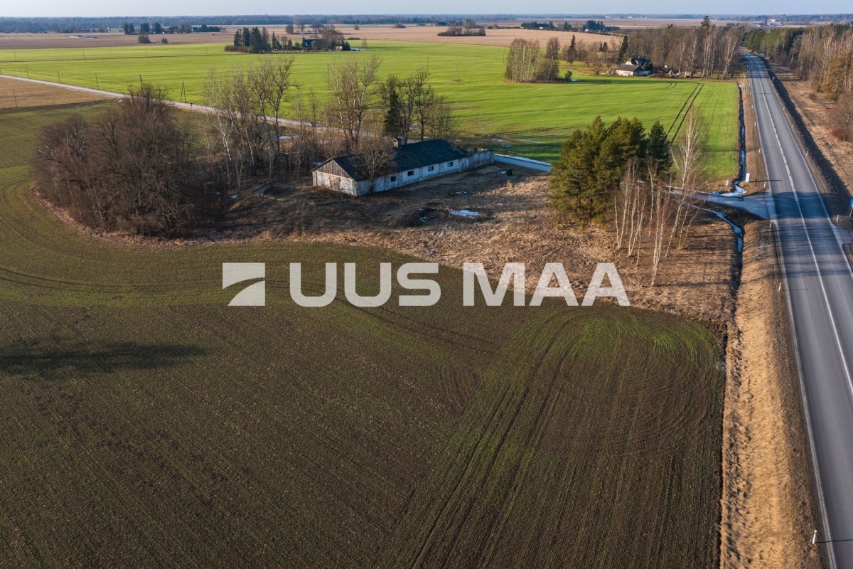 Järva vald, Koigi küla, Mäeotsa