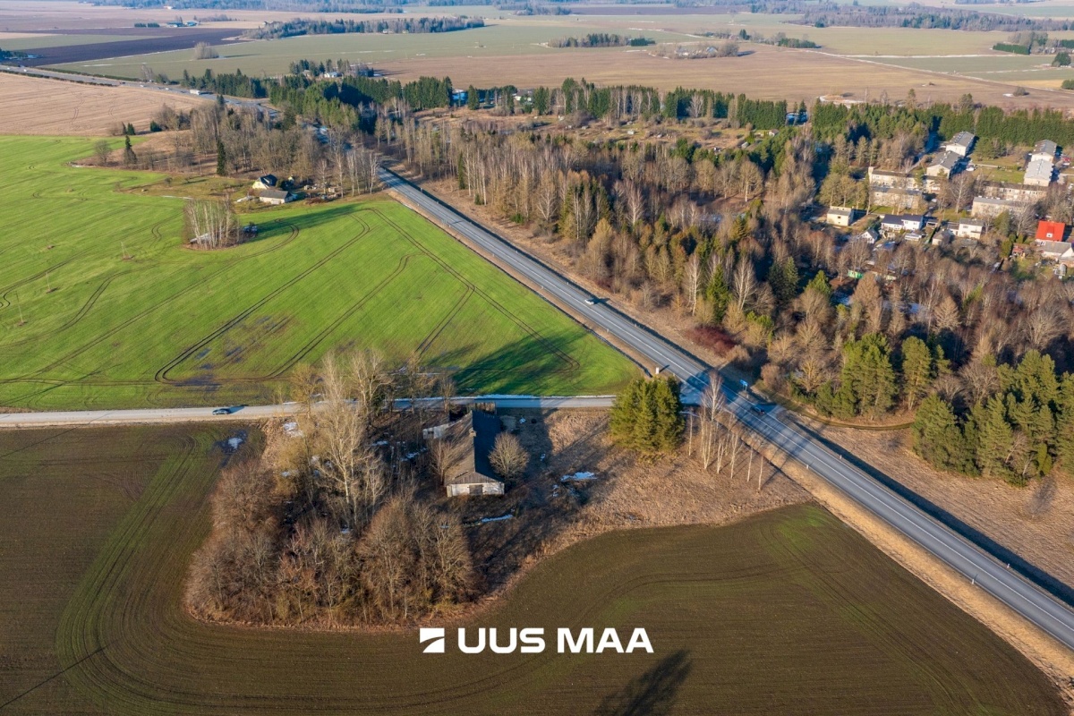 Järva vald, Koigi küla, Mäeotsa