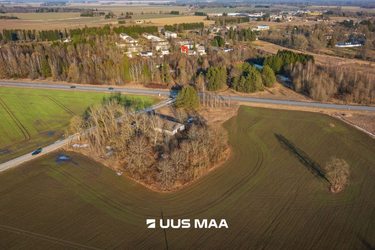 Järva vald, Koigi küla, Mäeotsa