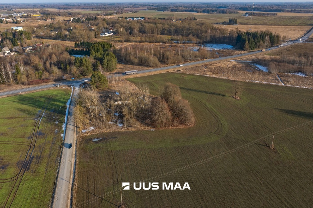 Järva vald, Koigi küla, Mäeotsa