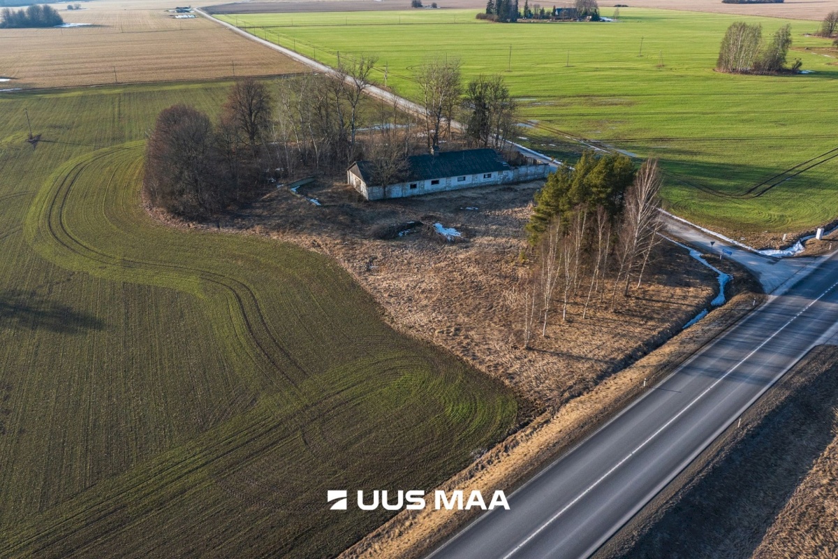 Järva vald, Koigi küla, Mäeotsa