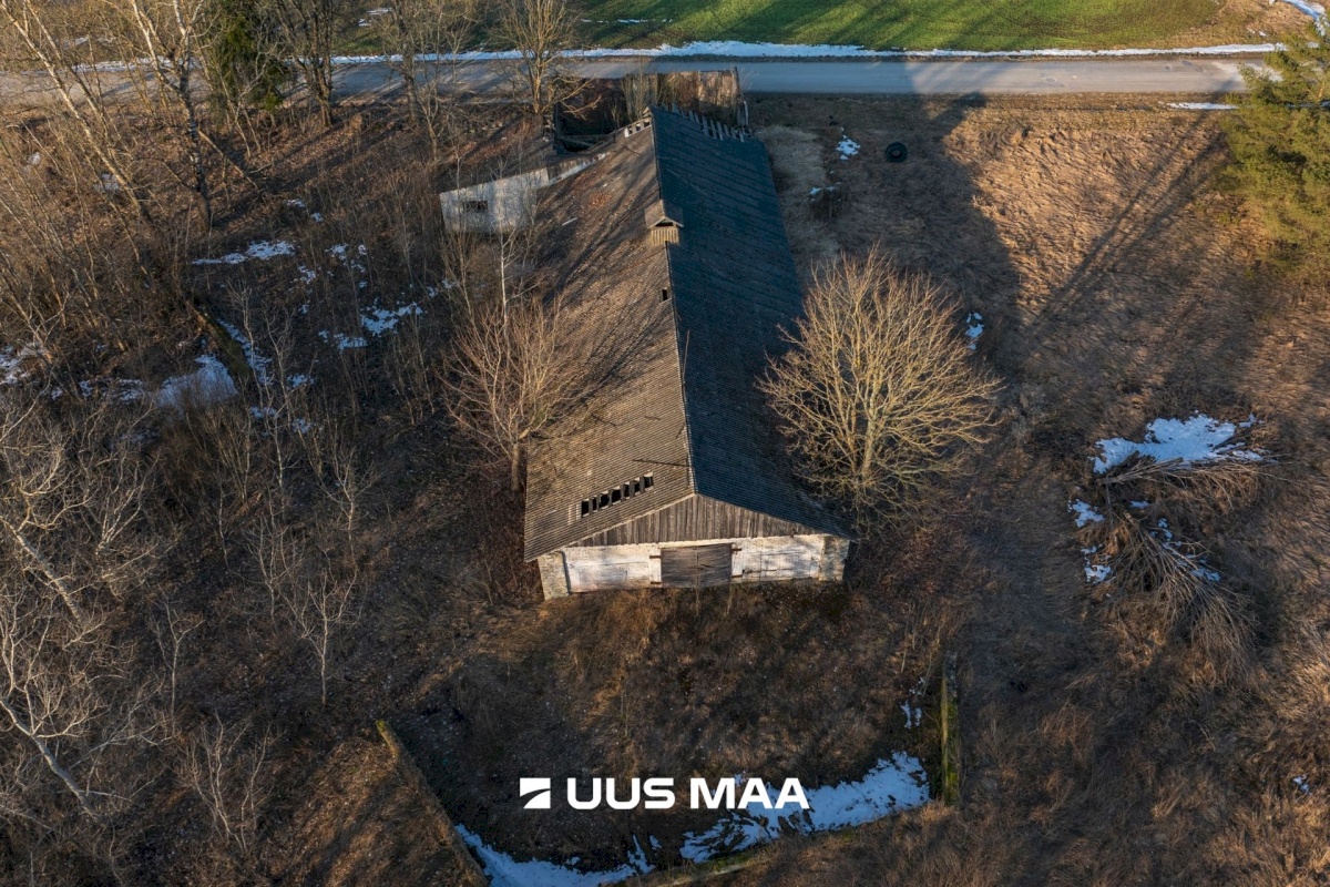 Järva vald, Koigi küla, Mäeotsa