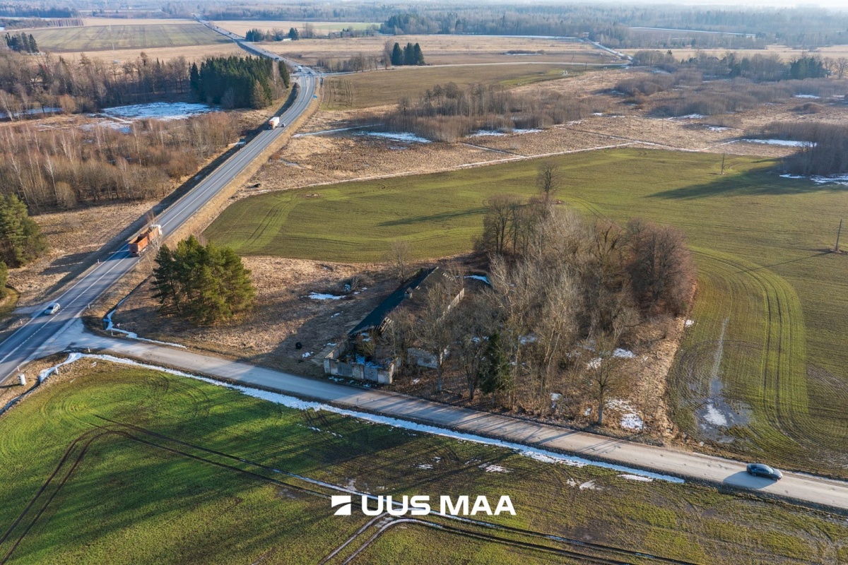 Järva vald, Koigi küla, Mäeotsa