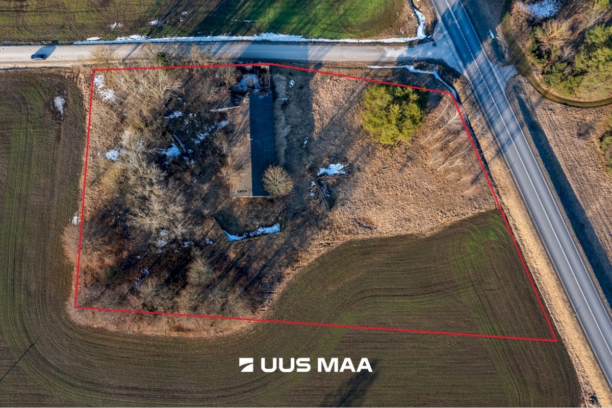 Järva vald, Koigi küla, Mäeotsa