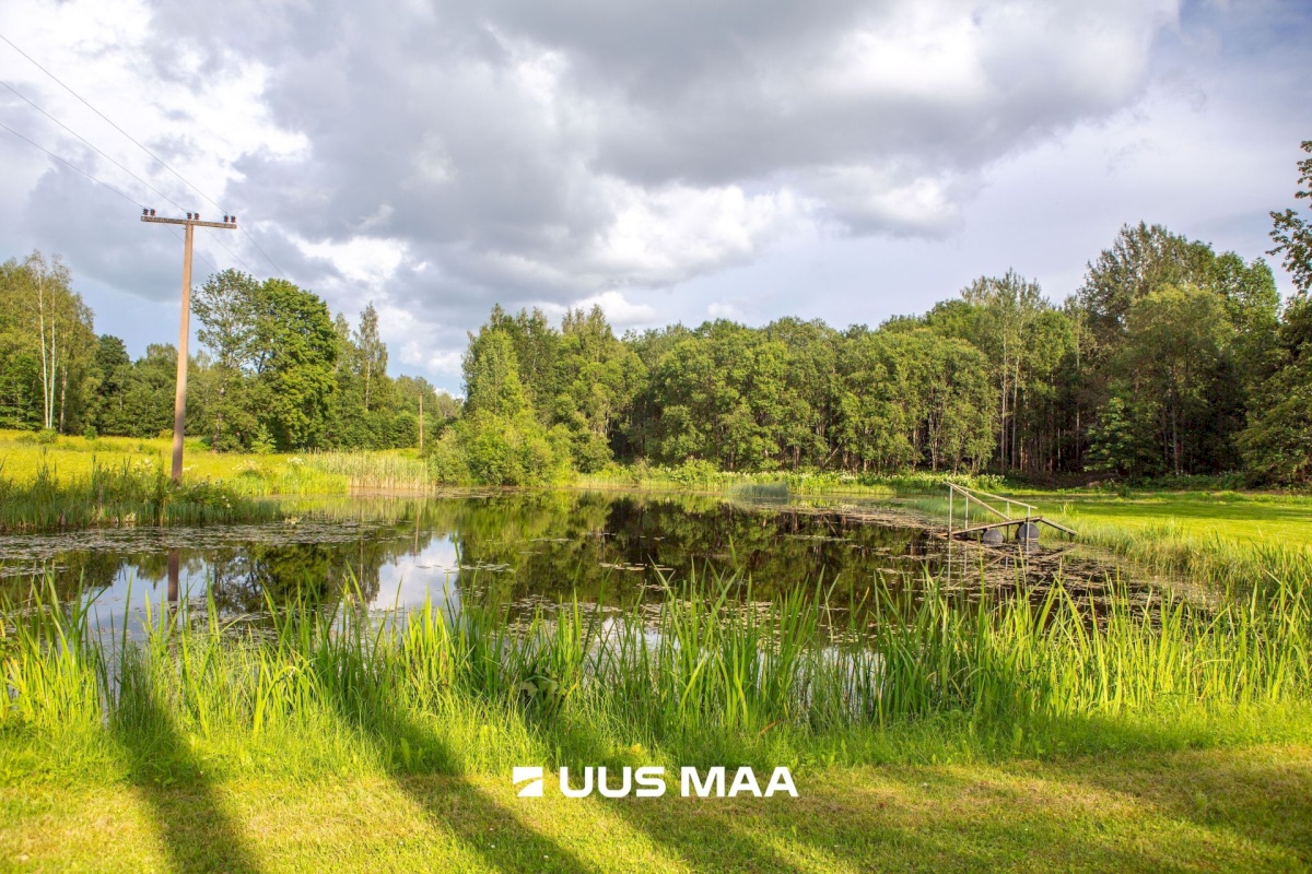 Rõuge vald, Kokõ küla