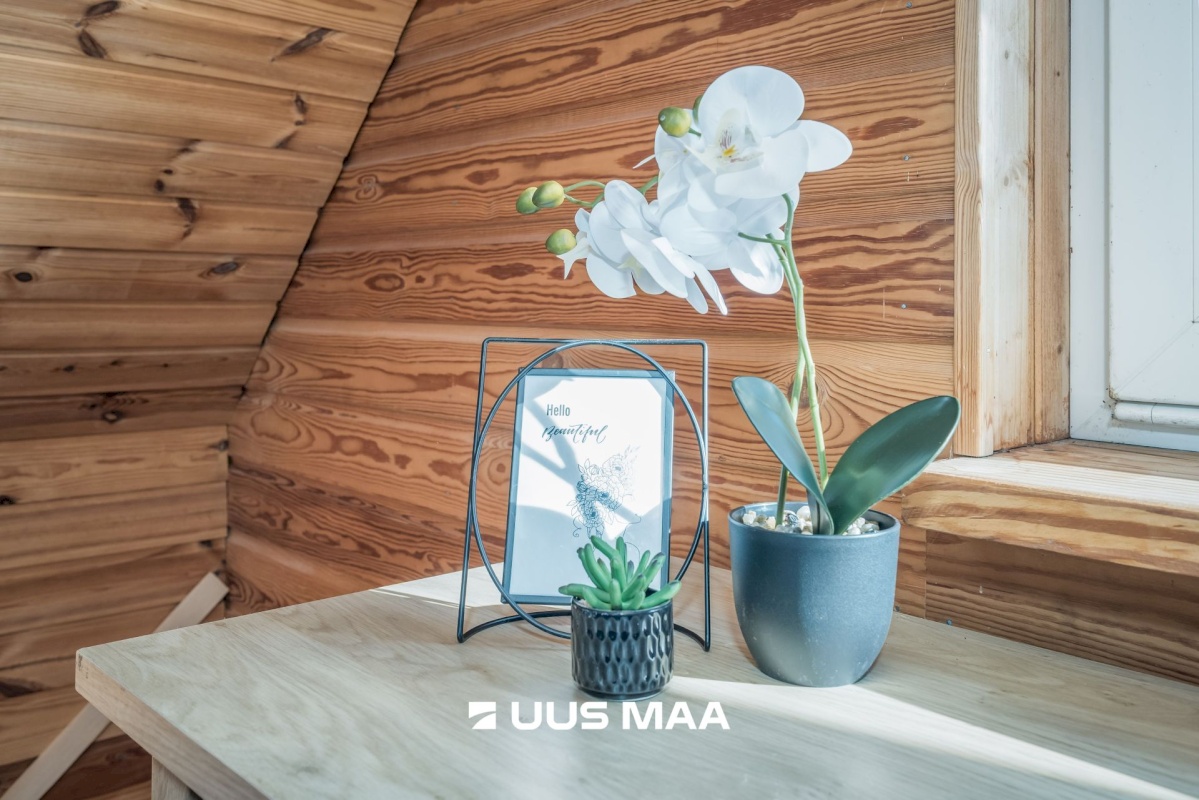 Lääne-Harju vald, Paldiski linn, Tikri 33