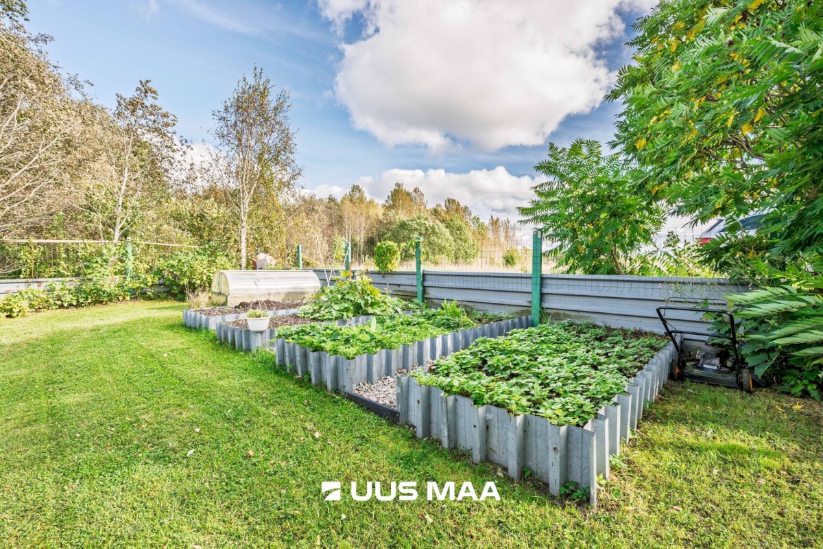 Lääne-Harju vald, Paldiski linn, Tikri 33