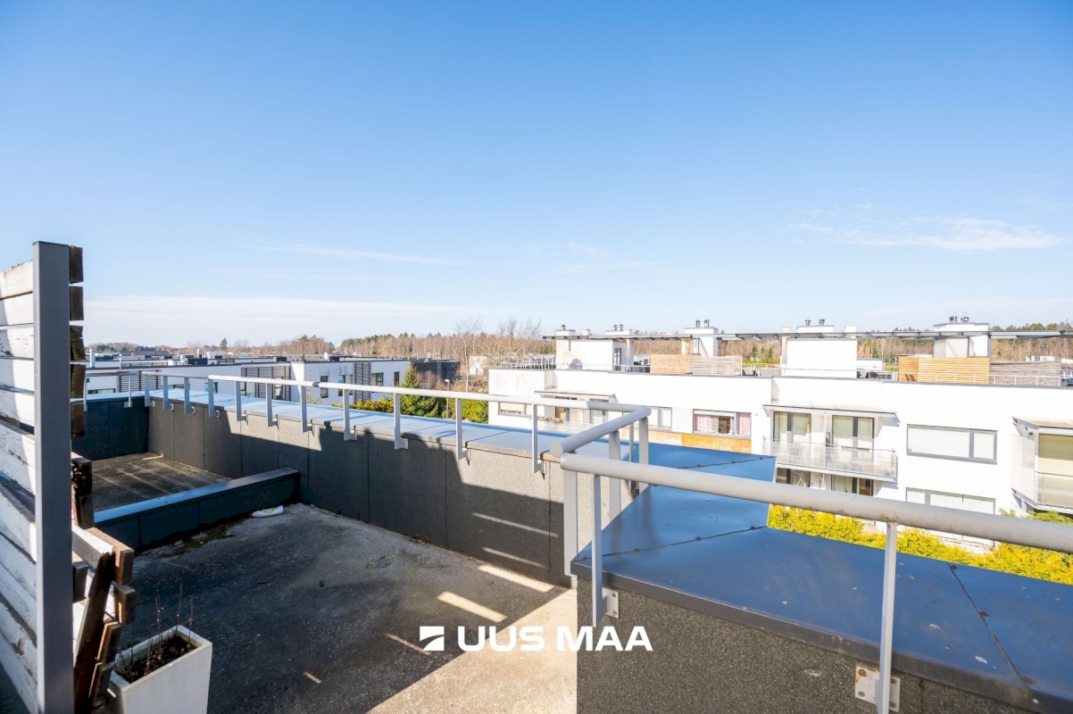 Viimsi vald, Haabneeme alevik, Hundi tee 17