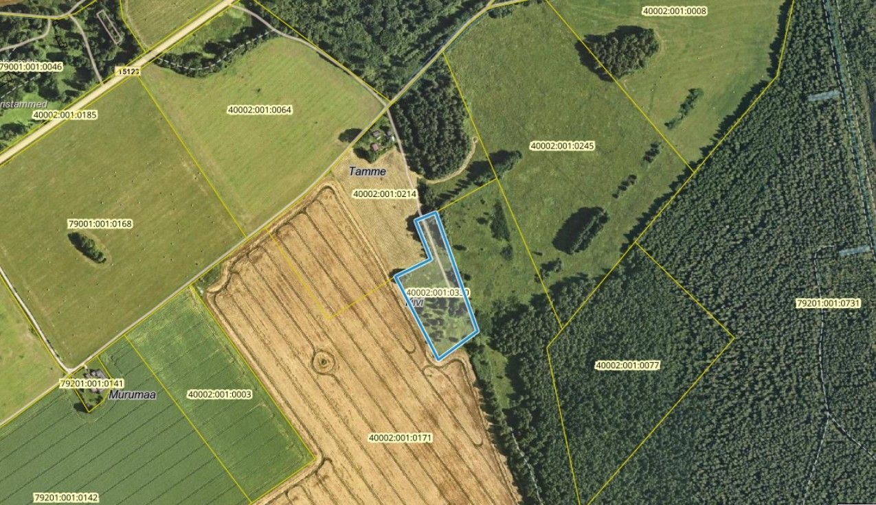 Tapa vald, Tõõrakõrve küla, Kivi Talu