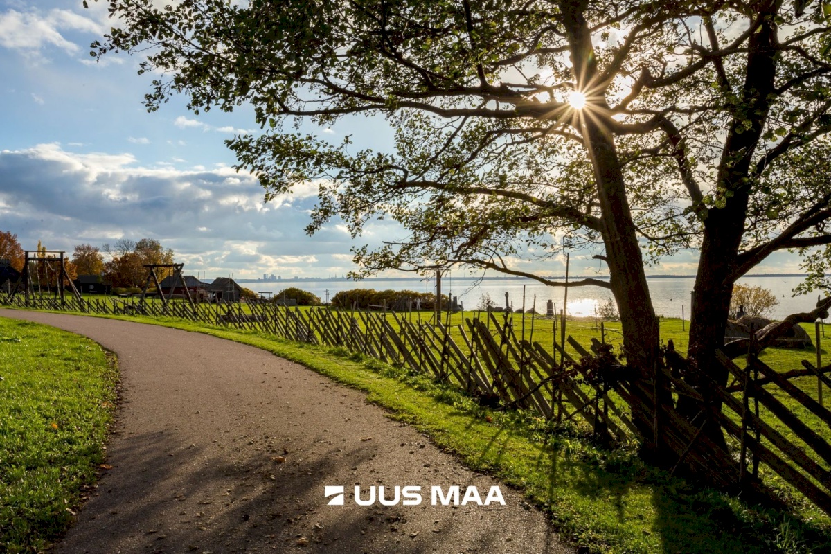 Viimsi vald, Haabneeme alevik, Nurme põik 19b/3