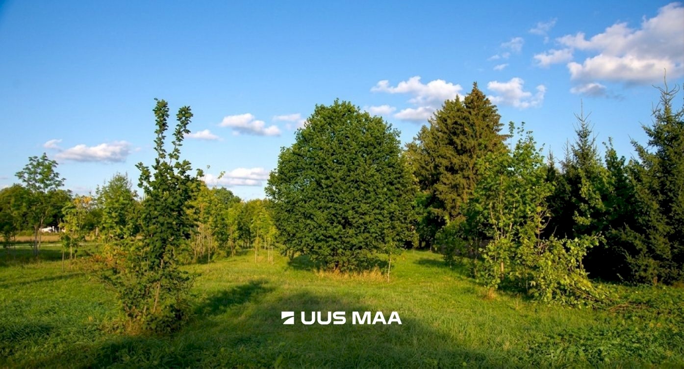 Rae vald, Lehmja küla, Loometsa tee
