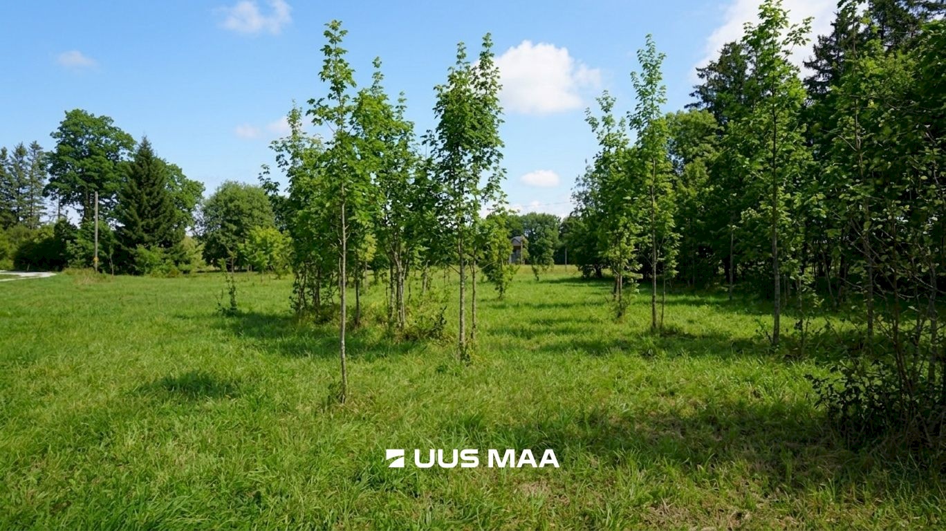 Rae vald, Lehmja küla, Loometsa tee