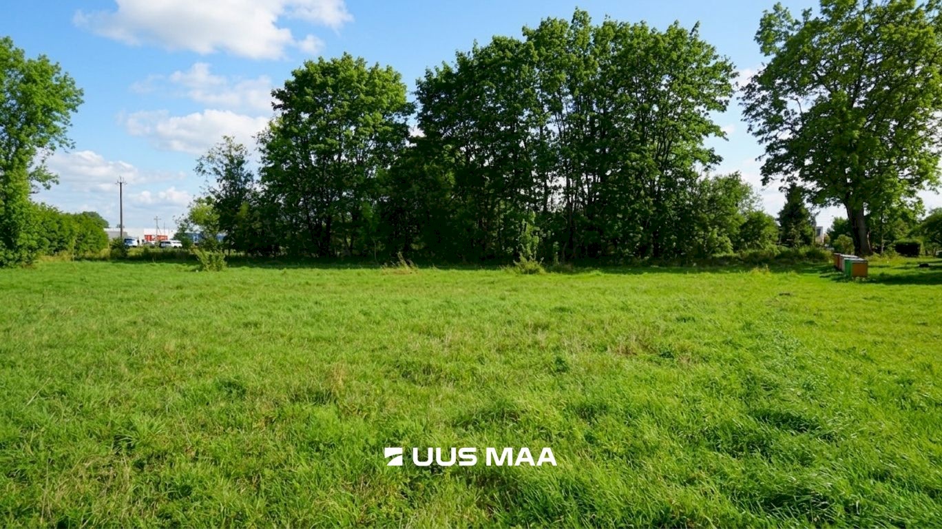 Rae vald, Lehmja küla, Loometsa tee