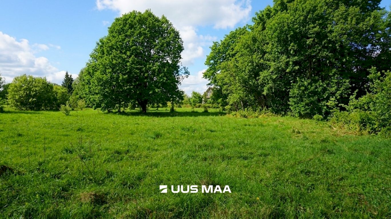 Rae vald, Lehmja küla, Loometsa tee