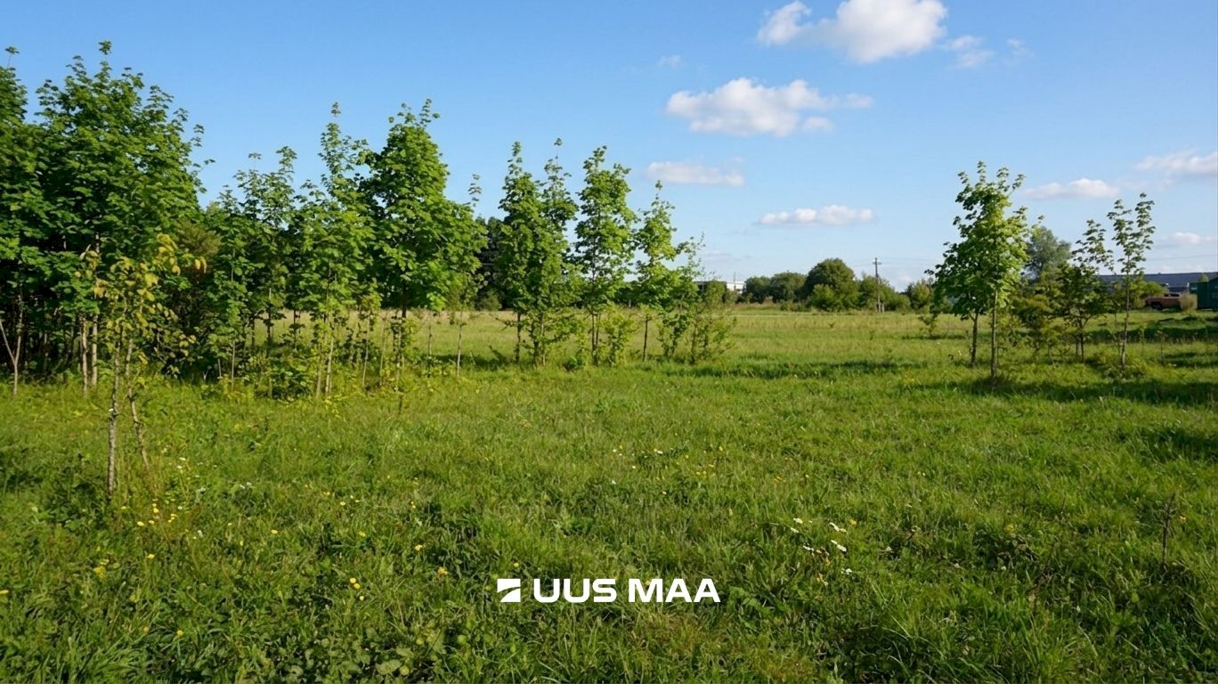 Rae vald, Lehmja küla, Loometsa tee