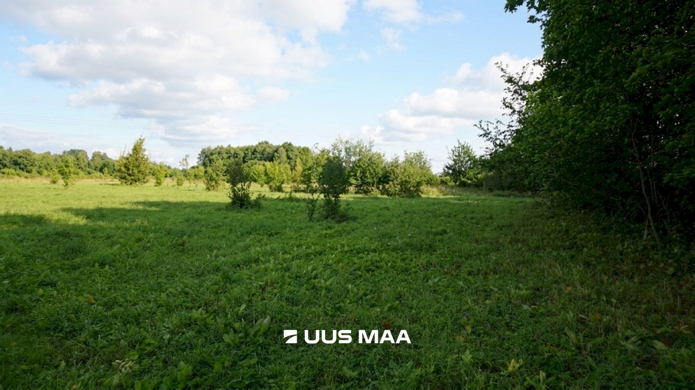 Rae vald, Lehmja küla, Loometsa tee