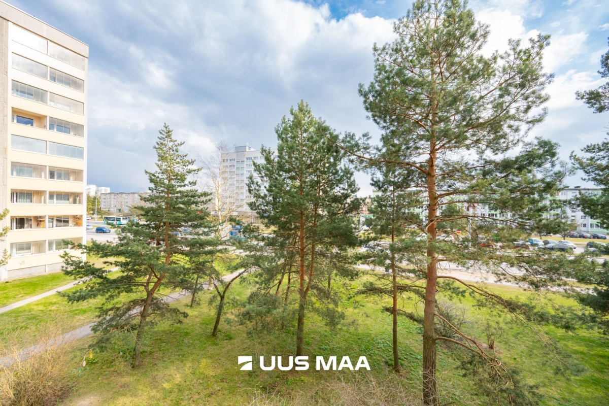 Tallinn, Mustamäe linnaosa, Mustamäe, Sõpruse pst 236