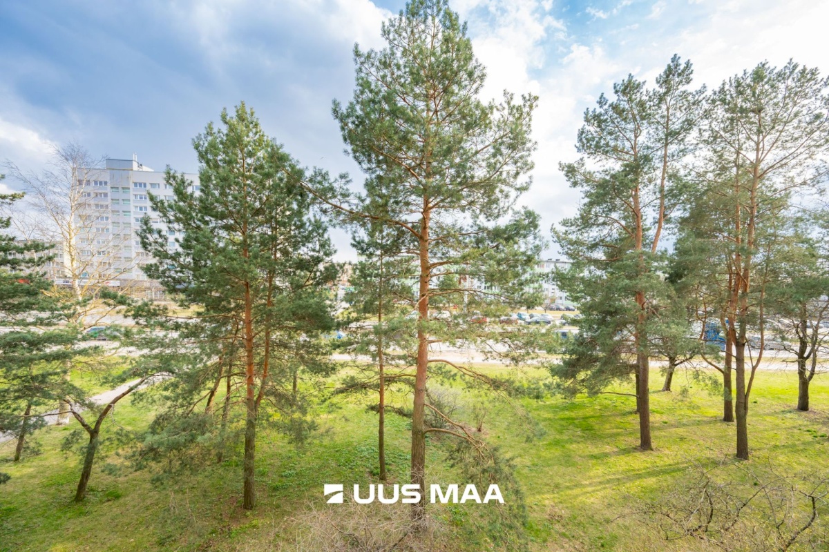 Tallinn, Mustamäe linnaosa, Mustamäe, Sõpruse pst 236